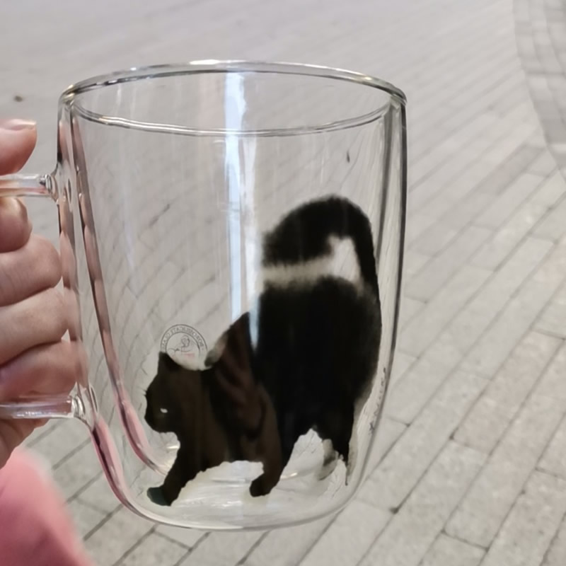 Abstract Cat Double Insulated Glass Milk Cup