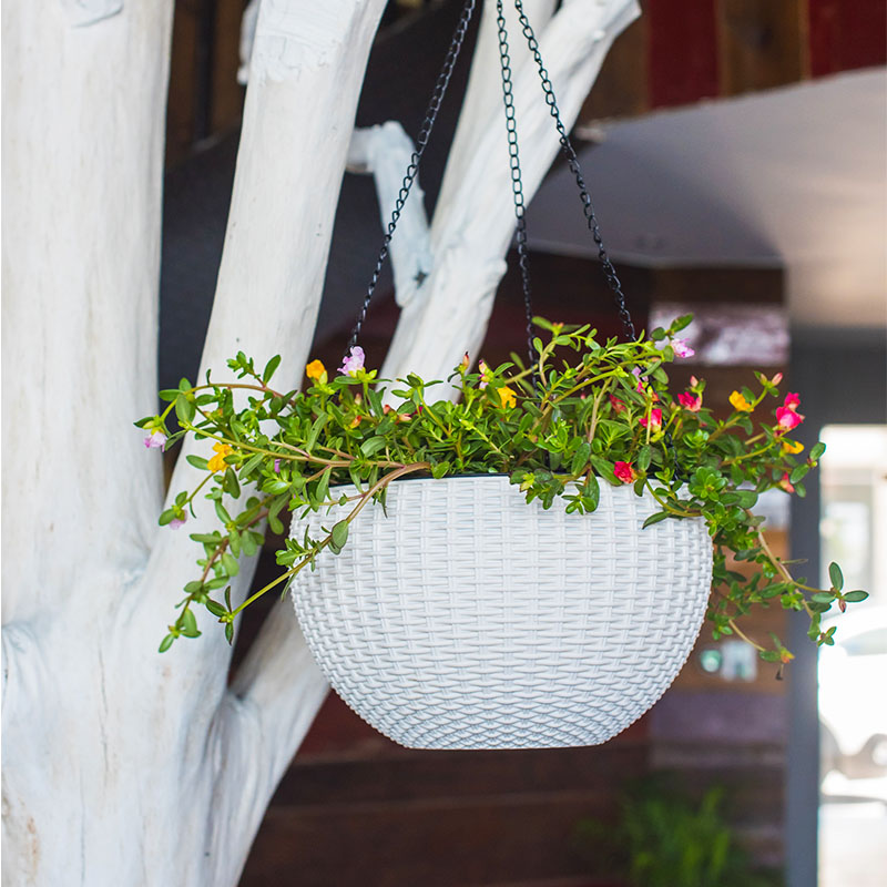 Creative Hanging Basket Storage Water Plant Flower Pot 