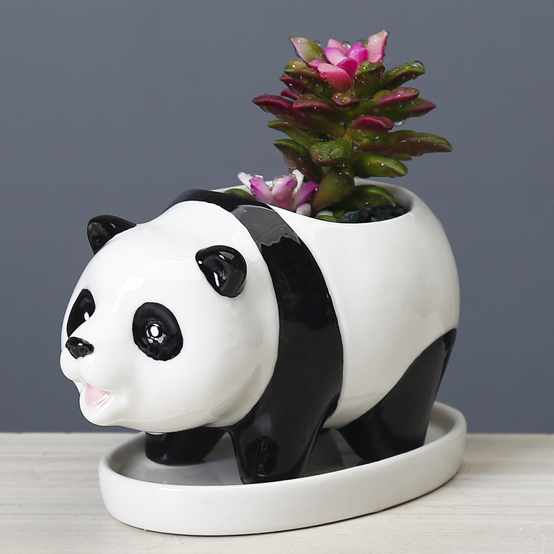 Cute Panda Desktop Plant Small Flower Pot