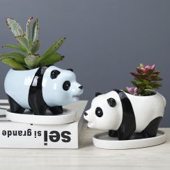 Cute Panda Desktop Plant Small Flower Pot